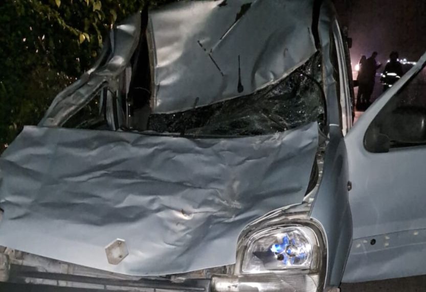 Labuenainfo | Accidente fatal en Ruta 215: Se le cruzó un caballo de ...